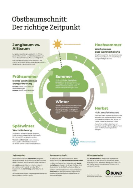 BUND-Infoplakat „Der richtige Schnittzeitpunkt“